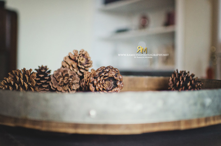 Images ©Ramilyn's Photography.  Feel free to make your profile pic. Any form of copying, downloading, altering, distribution of images without permission is prohibited                        Please LIKE my page before commenting